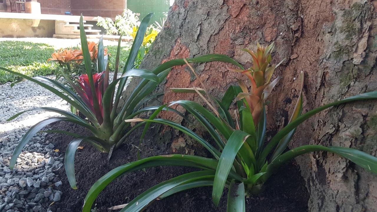 Hospedagem Economica Flor De Maria Caraguatatuba Exterior foto